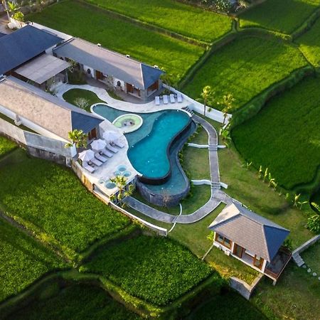 Villa Paradise By Balisuperhost Ubud Dış mekan fotoğraf